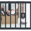 White Collar Criminality in India